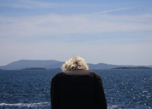 FilmIreland's tweet image. The @CorkFilmFest continues its selection of great Irish films today with a second screening of Float Like a Butterfly, plus Sooner or Later @ProjectSpatula, The Favourite @the_favourite &amp;amp; Jumpman - filmireland.net/2018/10/18/iri…