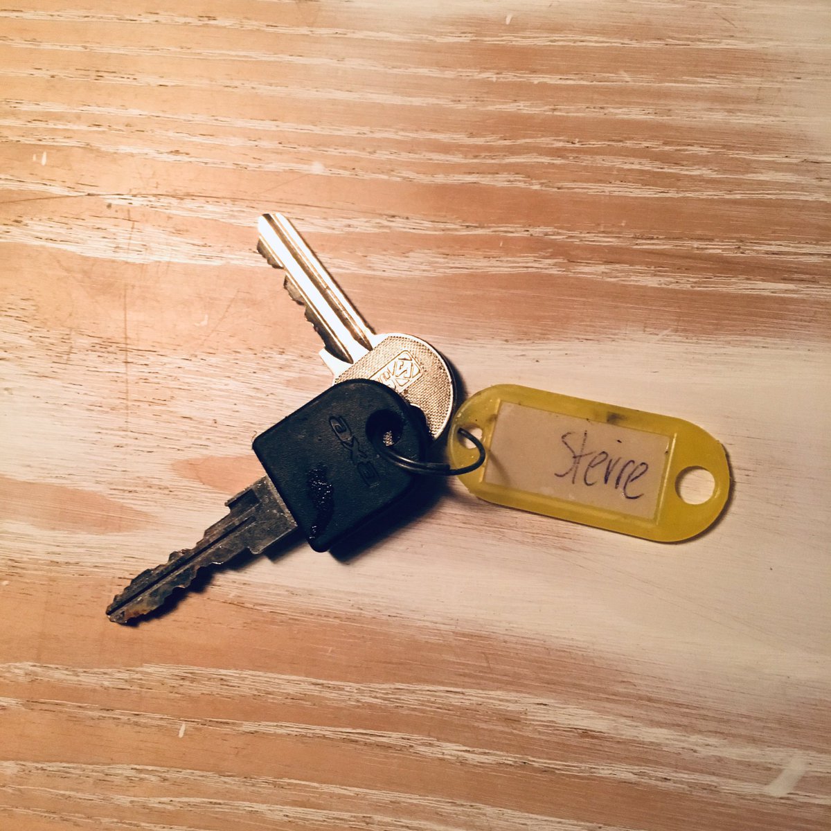 Viona van Dijk tweet media