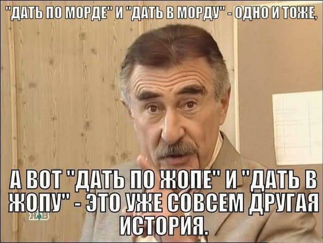 Жопу песня берем кошачью