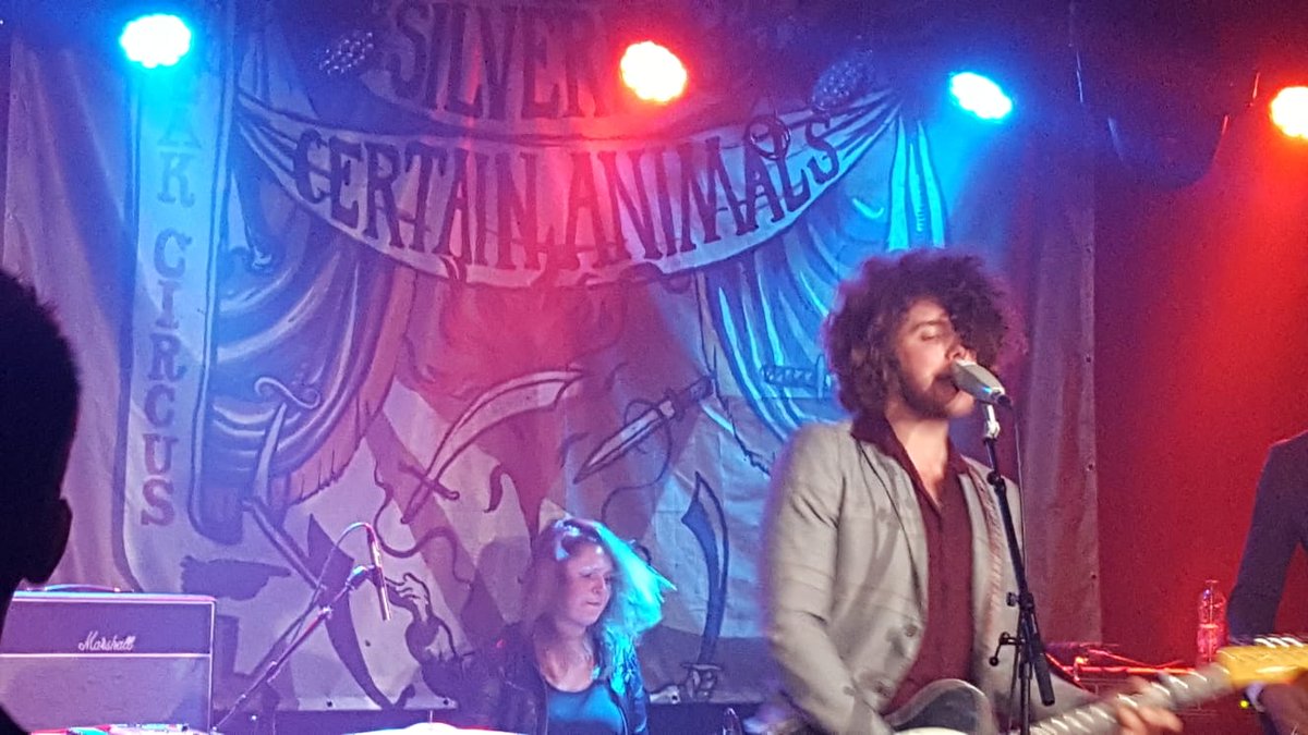 Certain Animals tweet media