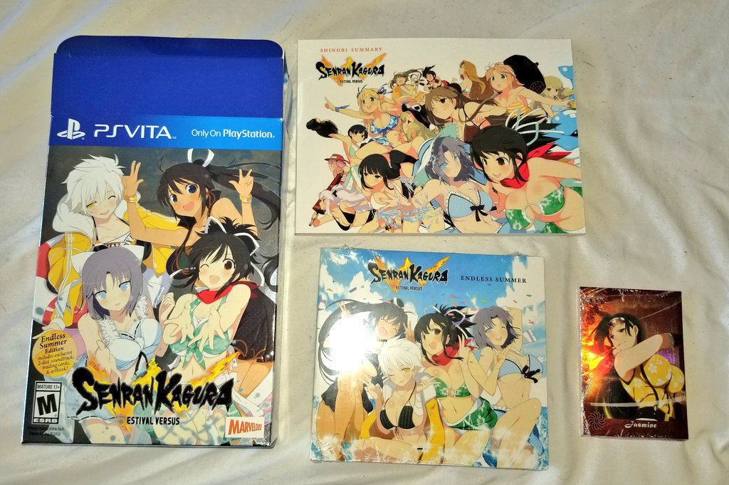 SENRAN KAGURA ESTIVAL VERSUS – Shinobi Summary Art Book