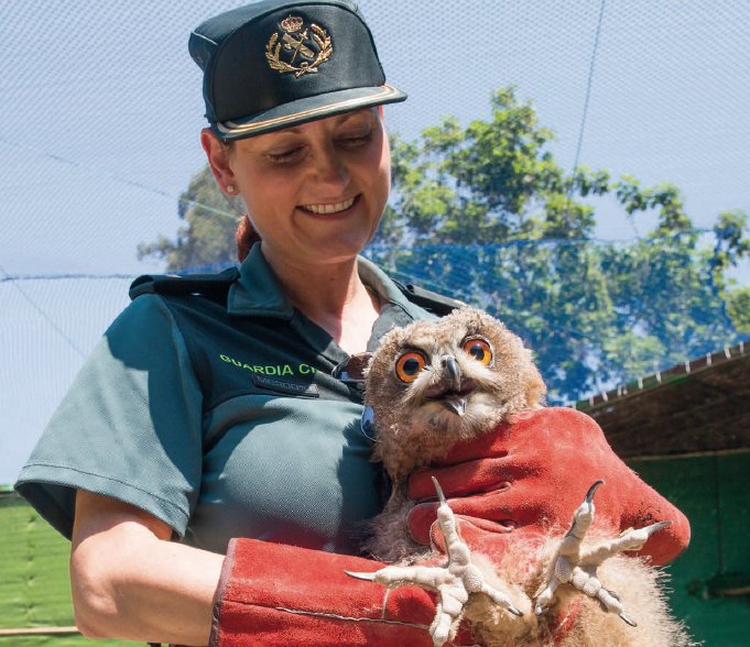 El #SEPRONA de la <a href="/guardiacivil/">Guardia Civil</a> es la primera policía judicial verde de #Europa. Llevan más de 30 años con "ojo avizor" ante cualquier infracción que pueda causar daño a nuestra flora y fauna. 

¡Ayúdalos! #Colabora con ellos: 📲#062