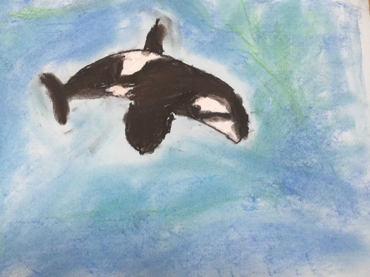 art_years's tweet photo. One of my favourite #ChalkPastel drawings by a 4 yo (and I love chalk pastels!) #orca #orcas #killerwhale #ocean #pastels #childrensart #kidsart #eyfs #eyfsart #expressiveartsanddesign #iloveart #iloveartaction https://t.co/mo2QAbKny3