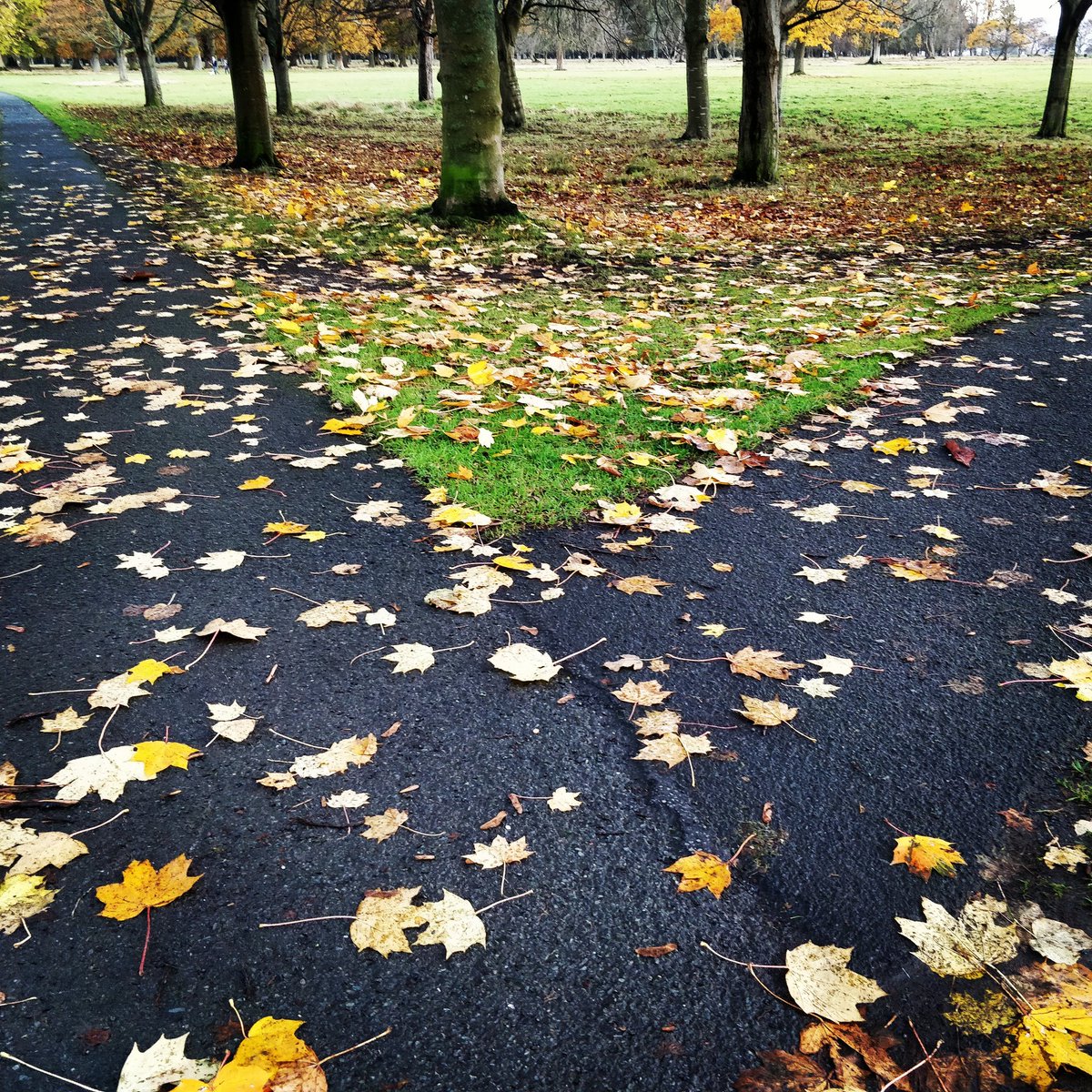 leaf_crypto's tweet image. In life there are many paths, which one do you choose? --&amp;gt; cryptoleaf.io ☘️🌿🌍 #startup #ireland #blockchain #ecology  #cryptocurrency #crypto #cryptonews #token #coin #ethereum #bitcoin #cryptoinvestor #crowdfunding #environment #green #plant #leafs #autumn #forest