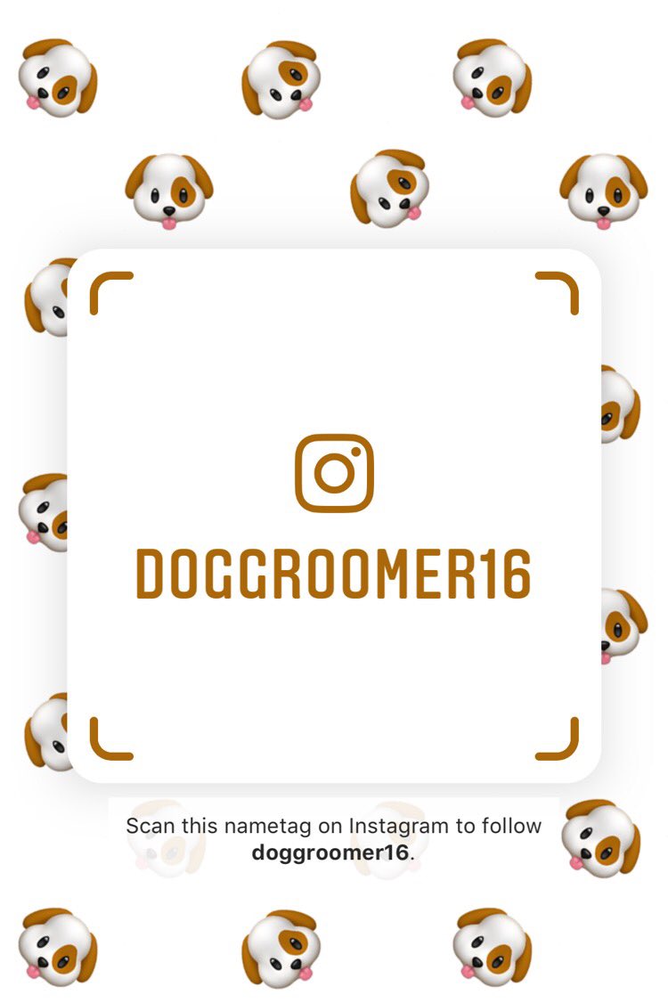 Go follow are sister dog grooming Instagram ❤️ it would mean the world to us 😘 #instagram #beginner #doggrooming #doggroomer #16yearsold #doglover