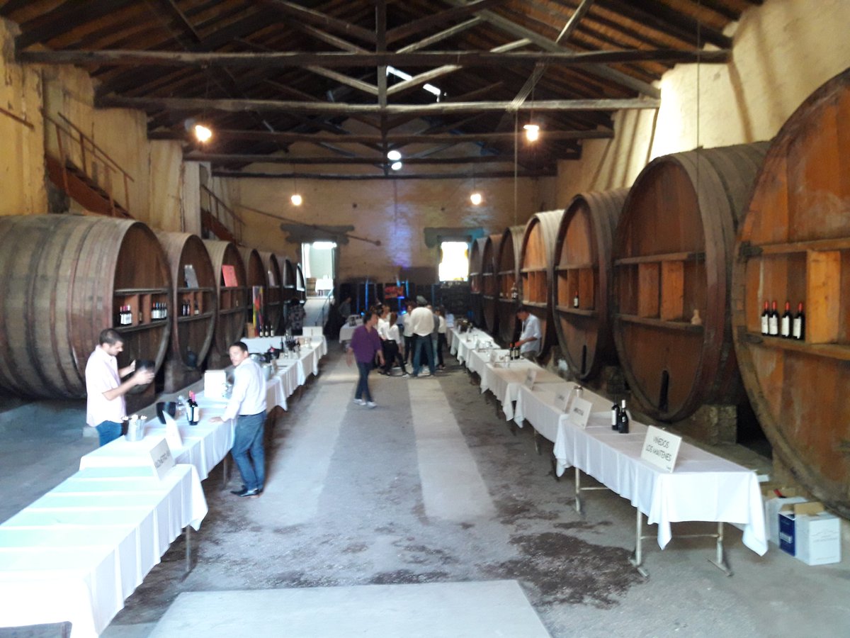 Todo listo para la #taninowinefest! Los esperamos!
