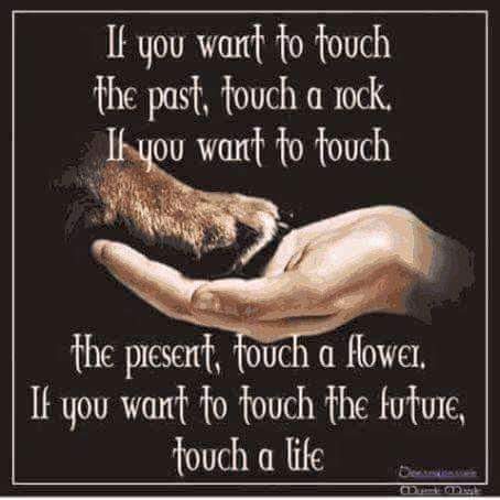 ritahealer's tweet image. Touch a #Life
#Healing 
#Empathy 
#JoyTrain