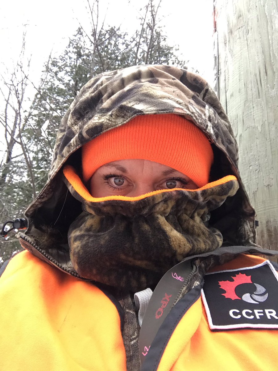 TWilsonOttawa's tweet image. The wind gusts this morning were wild! I’d also like to point out those big hanging weeds have big frozen balls of snow on them and they wag like tails, teasing me. Frosty hunt! Hope this gets them moving! #CanadaHunts #JustHunt