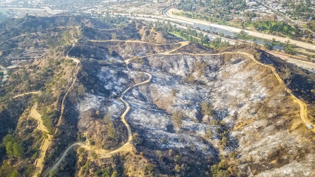 MayorOfLA's tweet image. Grateful for the incredible work of our @LAFD. With significant resources deployed supporting our partners fighting #WoolseyFire, LAFD also worked quickly in very rugged terrain to extinguish Griffith Park fire &amp;amp; protect LA Zoo, plus containing a structure fire in Arts District.