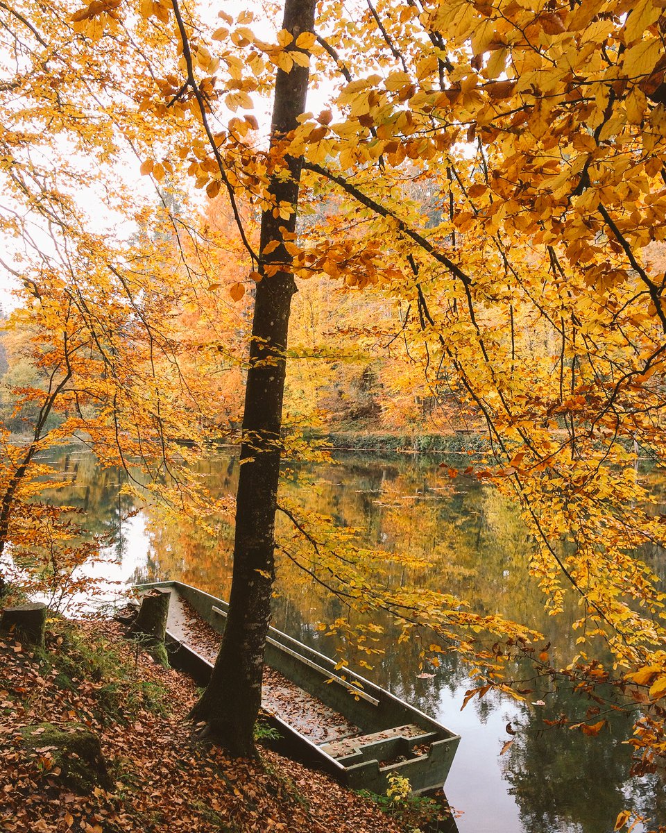 Steinhauser Waldsee #autumncolours