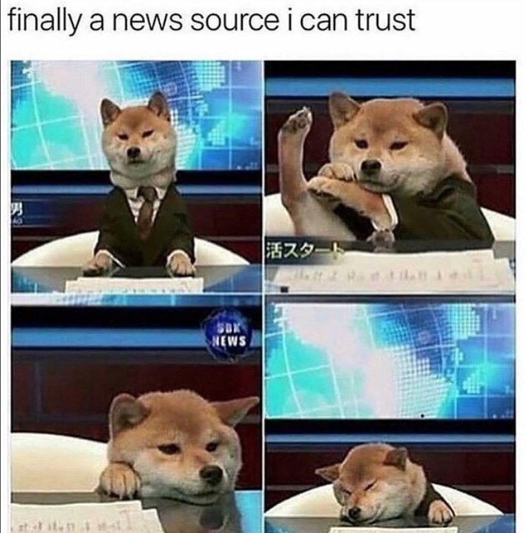 Memes.com (@memes) on Twitter photo 