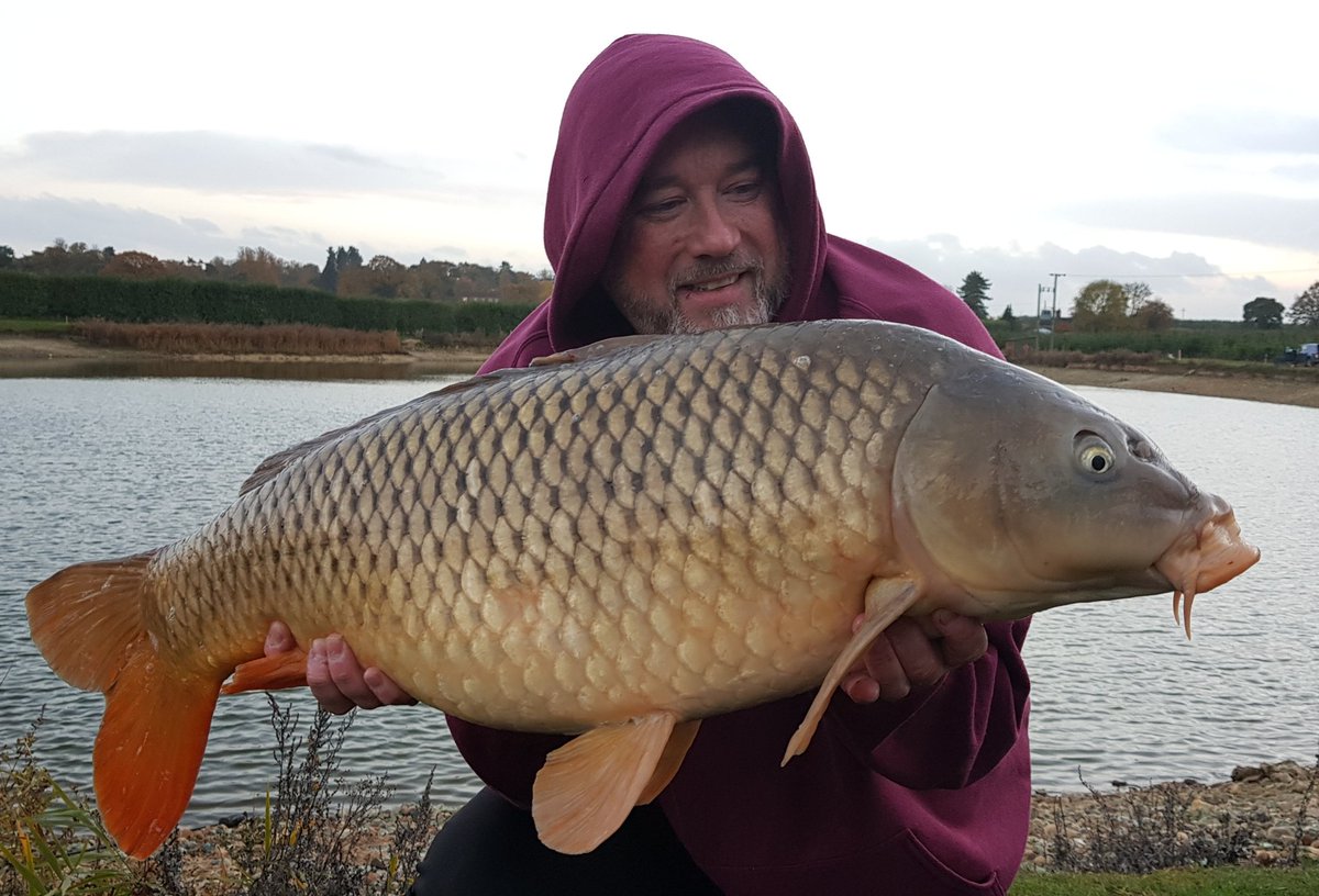 GannawayRobert's tweet photo. #BigCommon
My prize for this afternoon's efforts.
Tomorrow it's Lukie's turn for @ITFC_Academy u14's against Tottenham.
I hope he gets the reward his effort deserves too
#LFG9 https://t.co/vRcZL7pild
