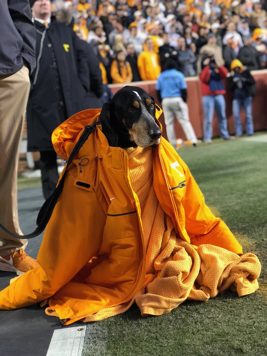 Rocky Top Insider tweet media