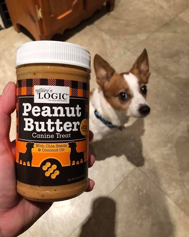 thatpetplace's tweet photo. Bentley has given @NaturesLogic Peanut Butter his seal of approval! 😋
Natural product containing chia seeds and coconut oil. Delicious dog friendly product.
.
.
#thatfishplace #thatpetplace #lancasterpa #natureslogic #natureslogicpeanutbutter #peanu… https://t.co/FvawWFUCKt https://t.co/uRLa8qNMor