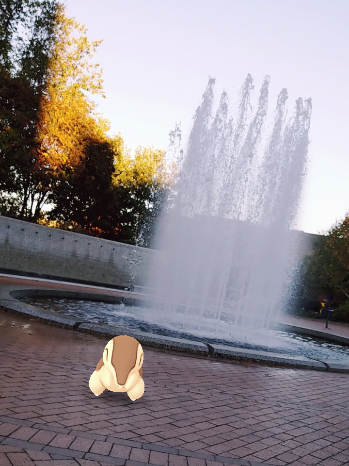 ValorV8's tweet image. My Cyndaquil Community Day was a good success! Caught 6 shinies total and a few wild 98% IV Cyndaquil that I evolved into Typhlosion. How was your community day? Also, shout out to @zzdoctorwhozz for hanging out with me for the event #PokemonGOCommunityDay #PokemonGO #ArPlus