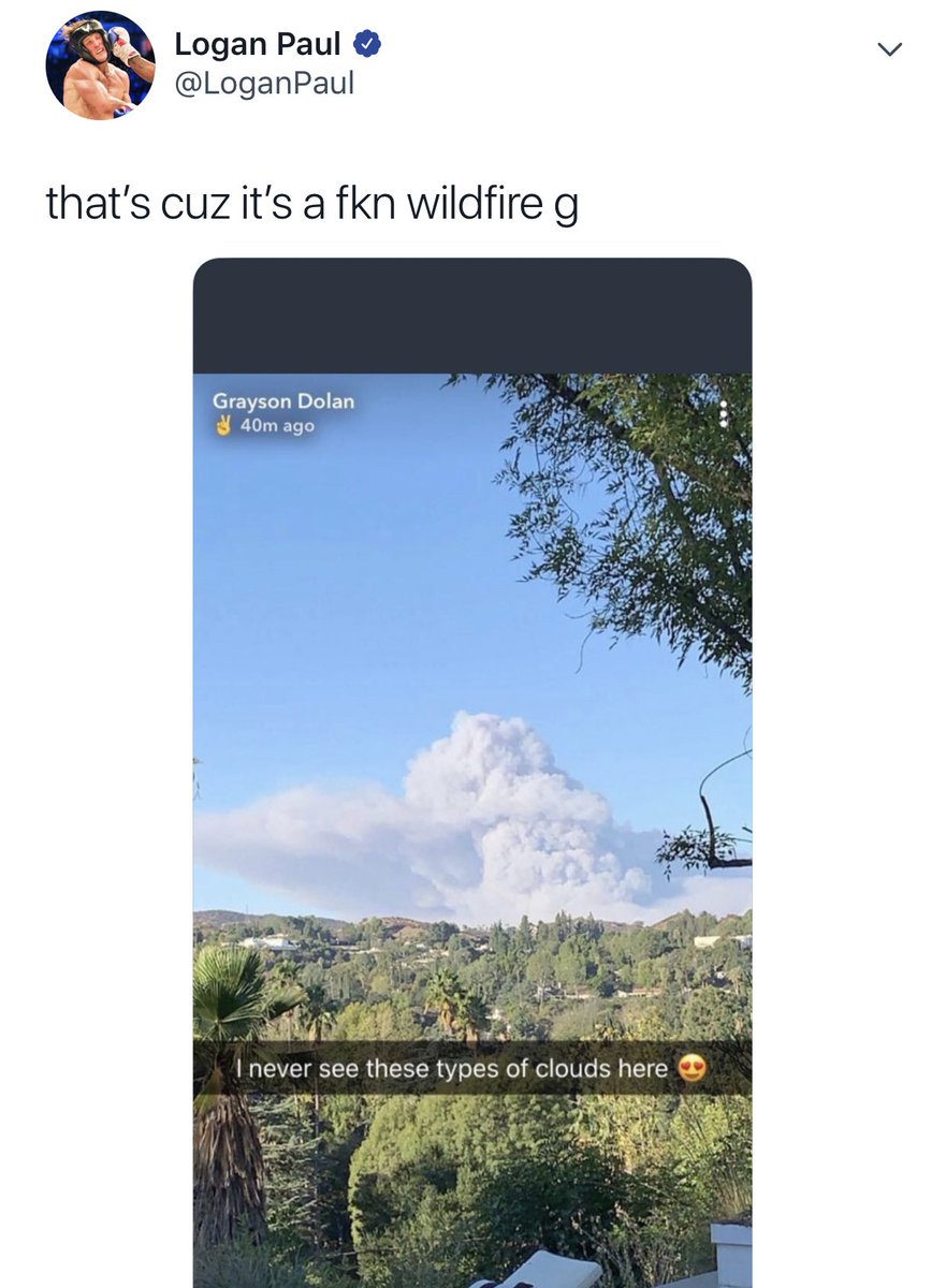 drideosoon's tweet image. this is a lot to handle they snapped !