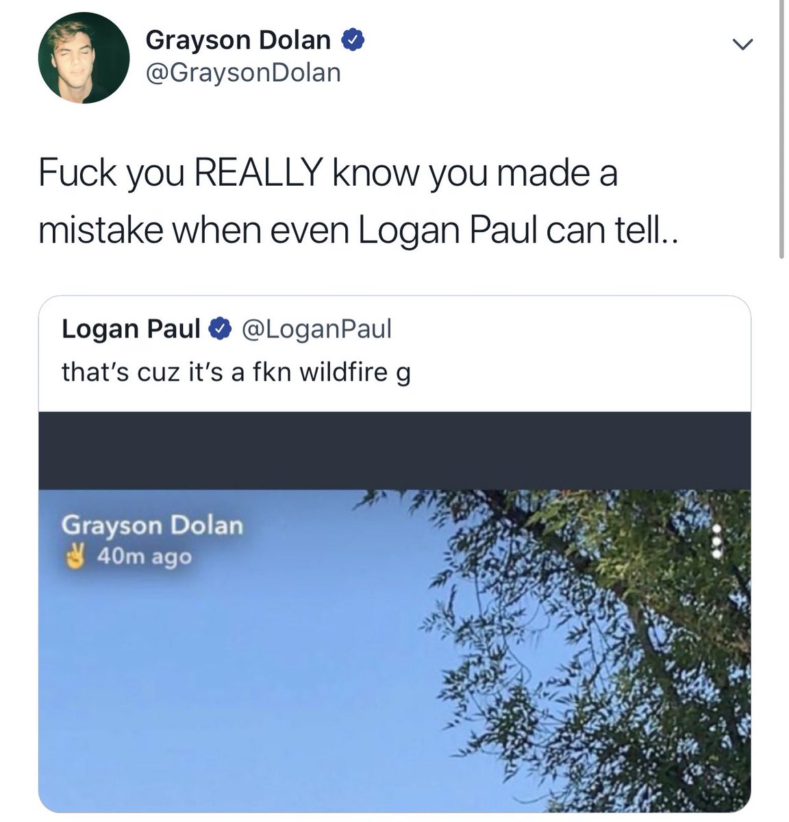 drideosoon's tweet image. this is a lot to handle they snapped !