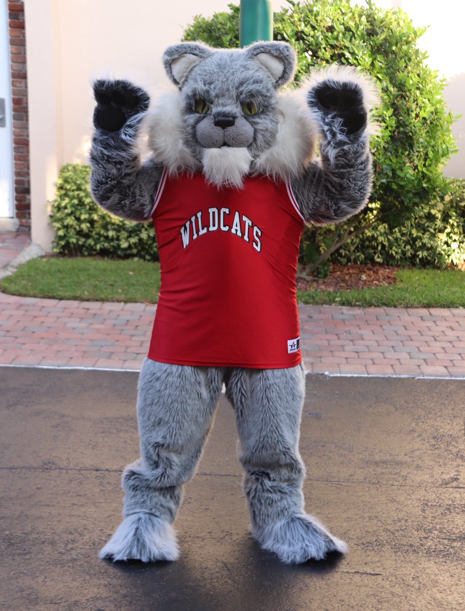Go #Wildcats! Get your head in the game! Please direct all comments to the  Wildcat! #HighSchoolMusical #HSM #Wildcat #Mascot #Disney #DisneyCharacters  #HighSchoolMusicalOnStage #GoWildcats, image size:913x1200
