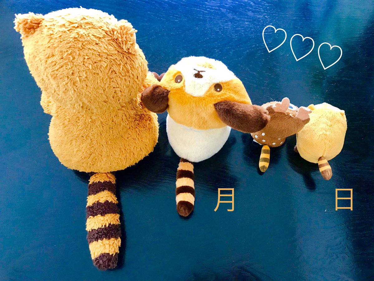 rrascal05's tweet image. しっぽの日！！
今年も楽しみましょう☺️
#ラスカル
#ラスカルしっぽの日 
#ラスカルだいすき