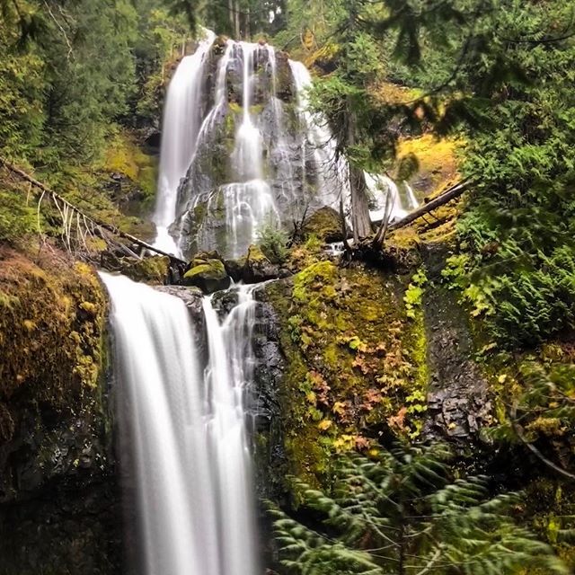 JonPLundstrom's tweet photo. ⛰🍁🌲🍂 https://t.co/TeVkVhxUTQ https://t.co/OZo4eDnQpb