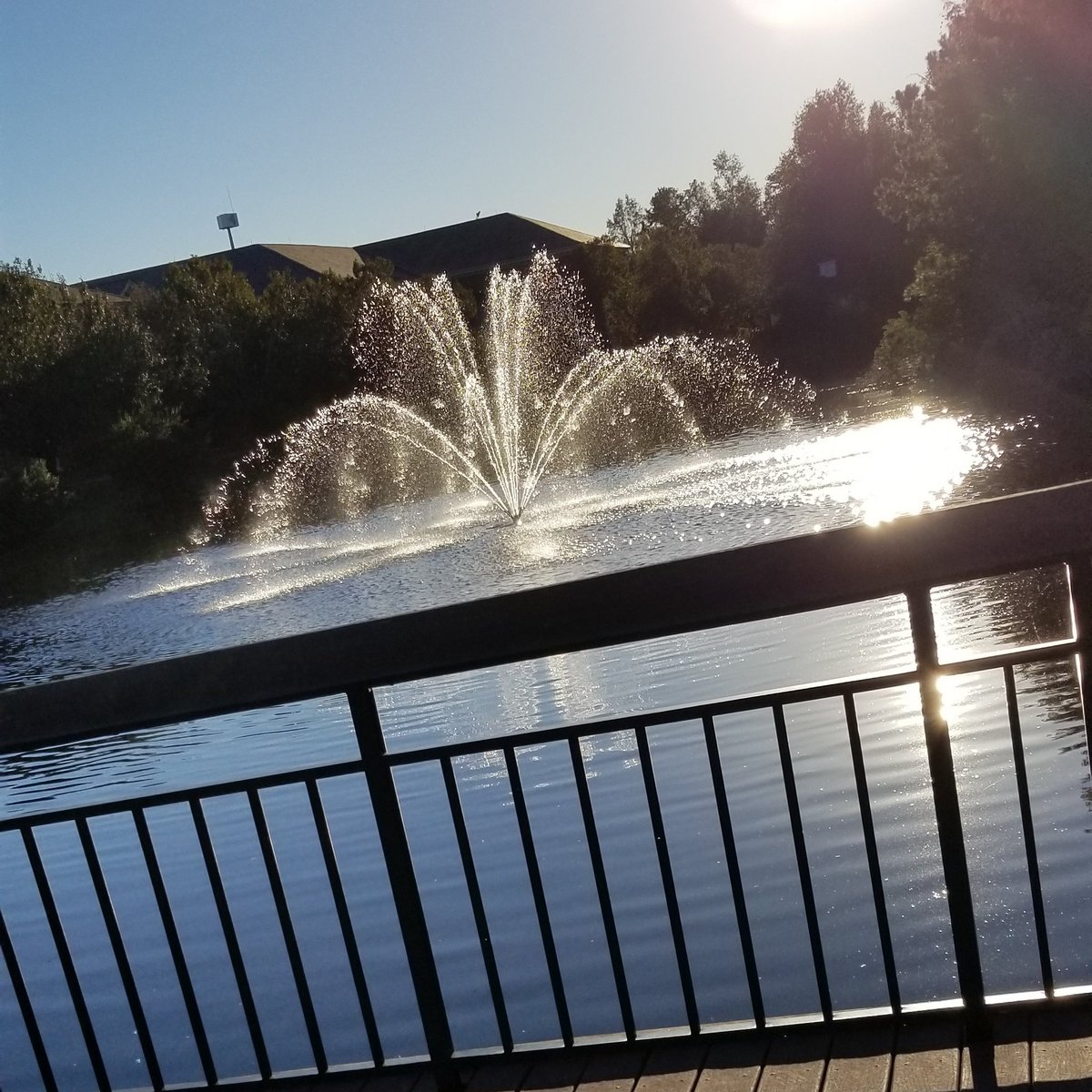 tjcphantom18's tweet image. #NewProfilePic