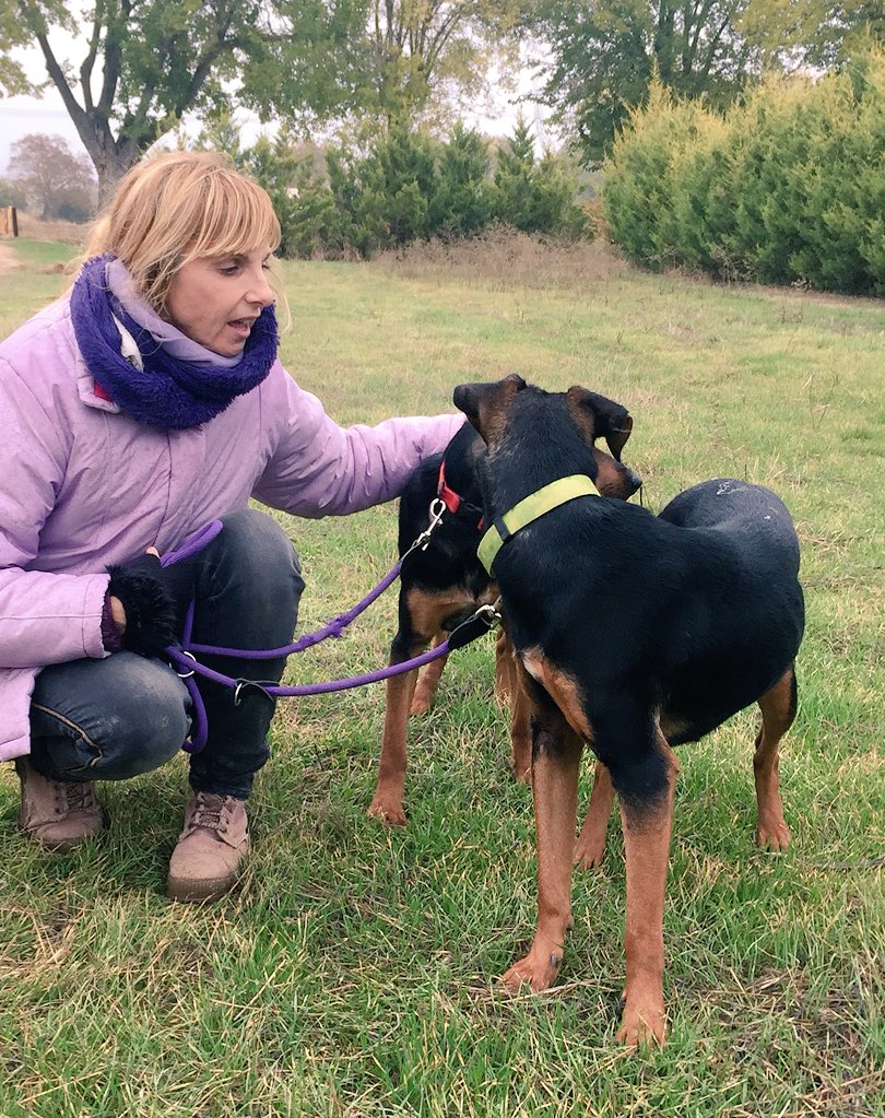 fundarcanoe's tweet photo. #Pitufa y #marylin #rescatadas #rescatadasdelacalle #extraviadas #conchip y su dueña localizada
#fundacionelarcadenoe #moratadetajuña después de cuatro horas de actuación gracias a todo el #equipo humano de Fundación. #contraelfrio #contralalluvia #sinayuda
#tenenciaresponsable https://t.co/3uHxQOrCRo