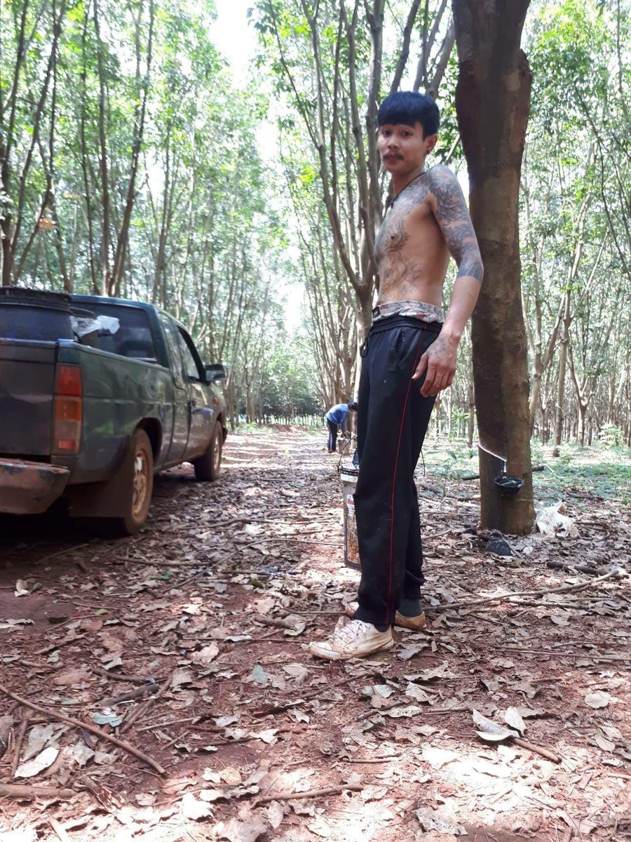 กระบี่เงี้ยนมั่วนัดมา