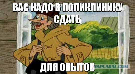 в поликлинику надо будет. его надо в поликлинику сдать для опытов. в поликлинику для опытов простоквашино. в поликлинику надо будет. в поликлинику надо будет.