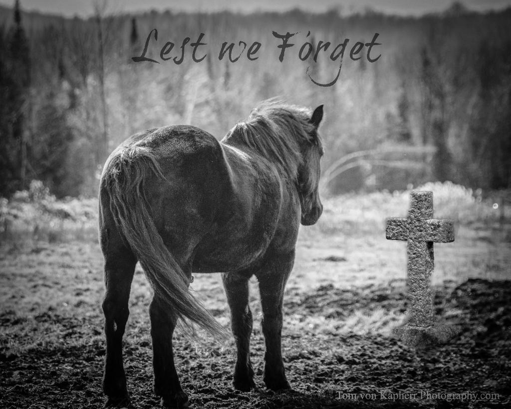BackInBromont's tweet photo. Lest we forget #RemembranceDay2018 https://t.co/hfmAfIQBXU