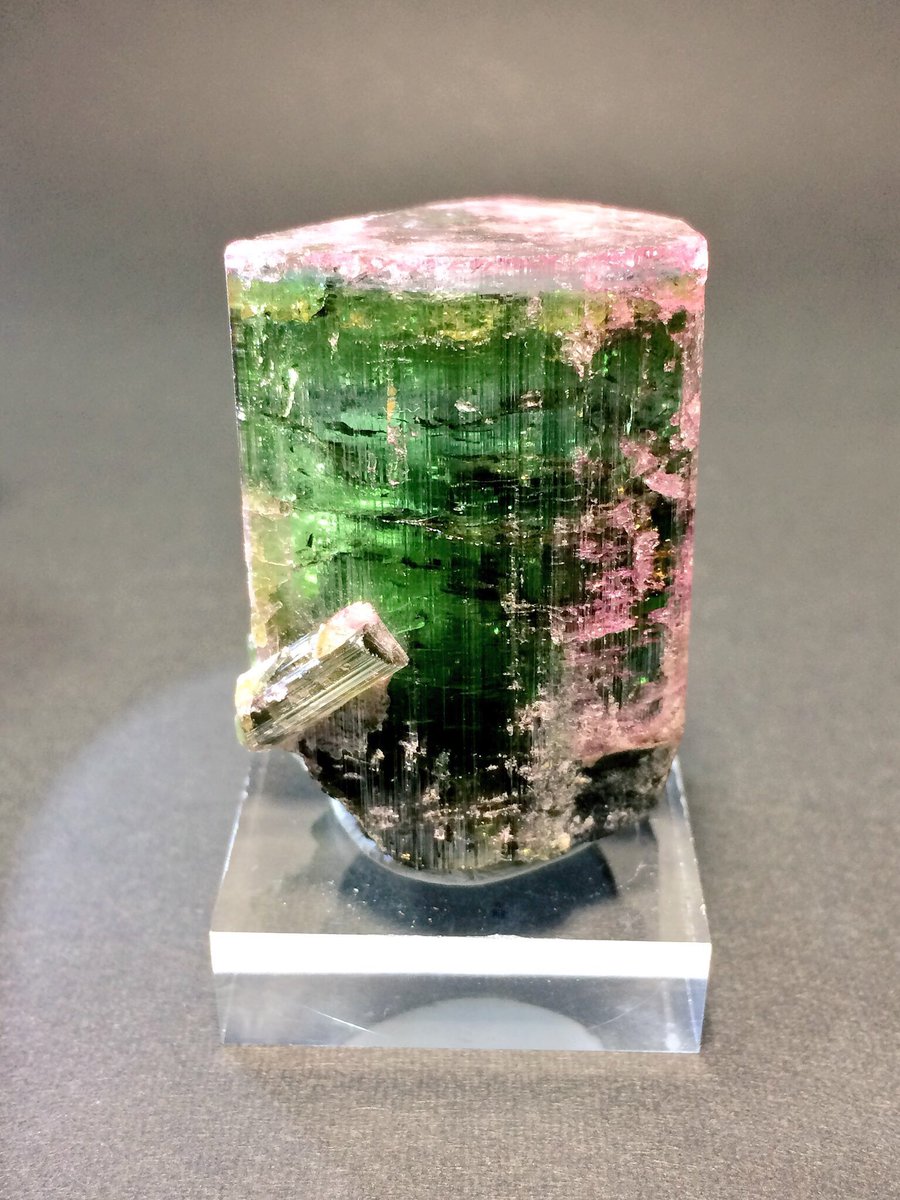 boutsu08's tweet image. １秒も働かずにトルマリンが欲しい！