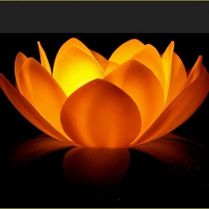 ayesh_hm's tweet photo. https://t.co/d5umcpkSCh