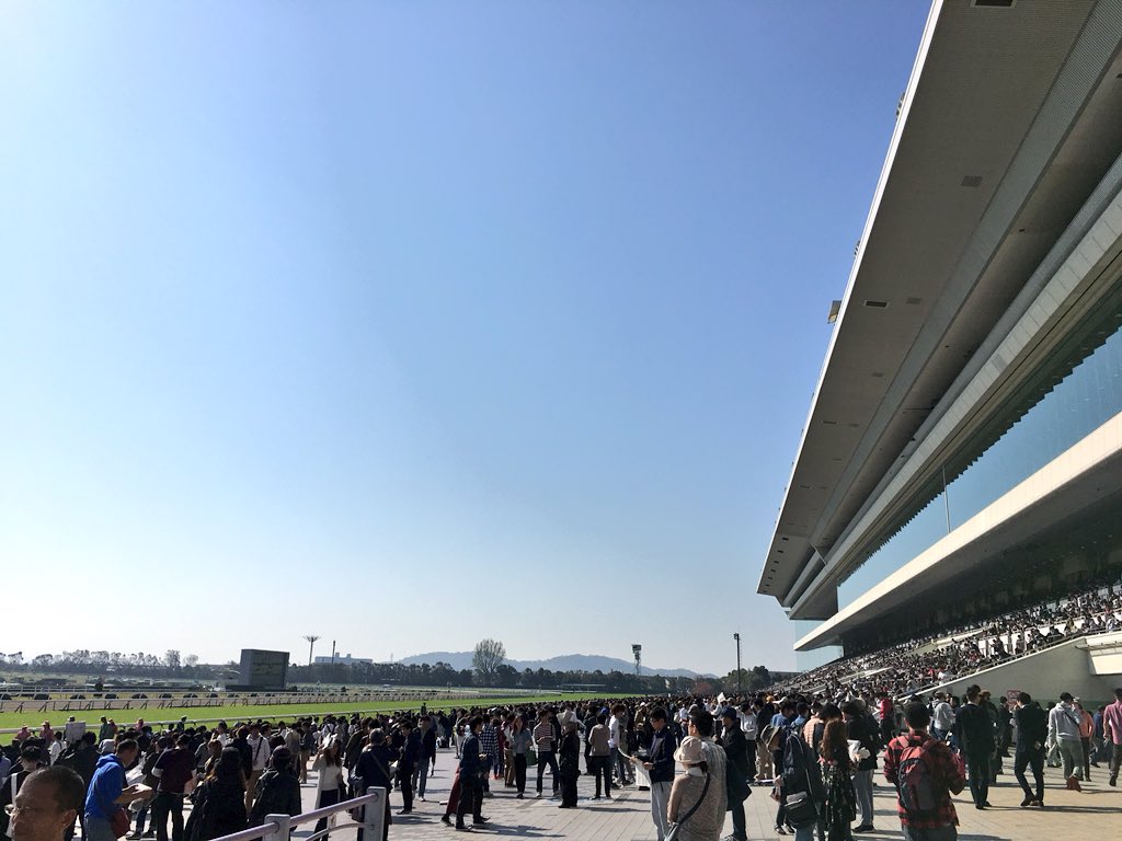 横えび ぷよスポac１２２０ 淀に咲き 淀に散る Jra京都競馬場 天皇賞 春 シンザン像 マイルチャンピオンシップ 秋華賞 メジロドーベル エリザベス女王杯 ビッグスワン 菊花賞 仁川に続き本日もセイウンスカイ 生涯初gi生観戦