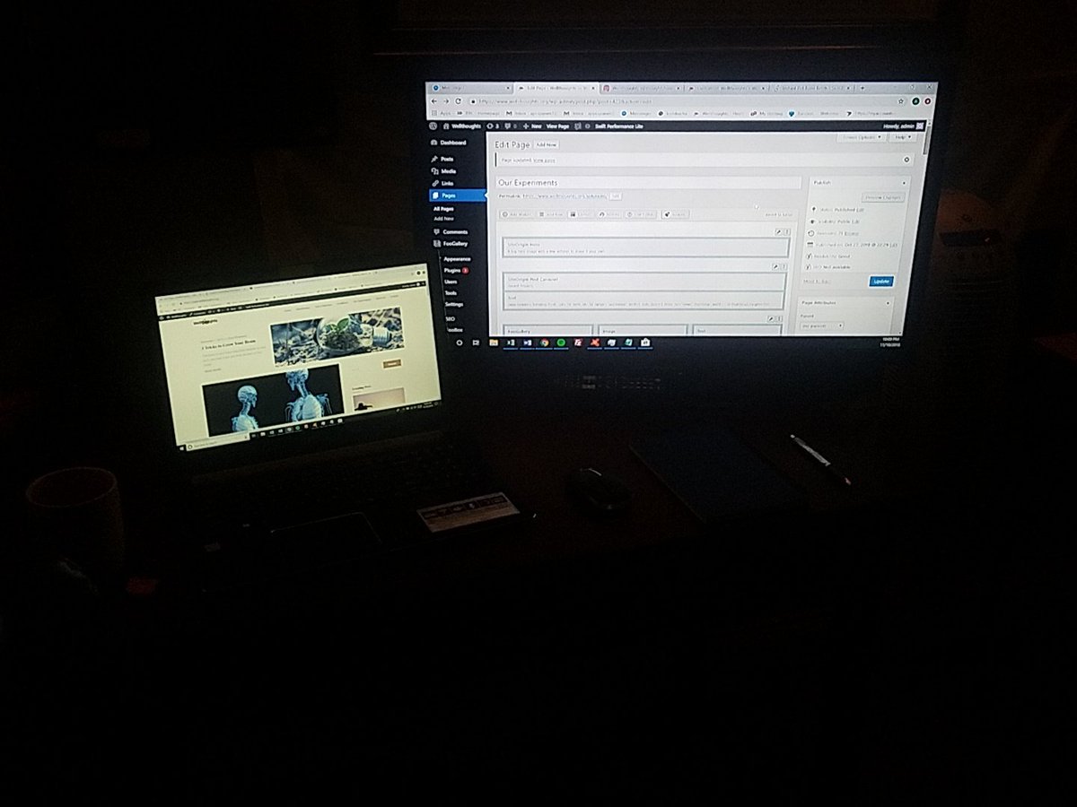 DroopyCodes's tweet image. Working weekends until we make this site look decent!