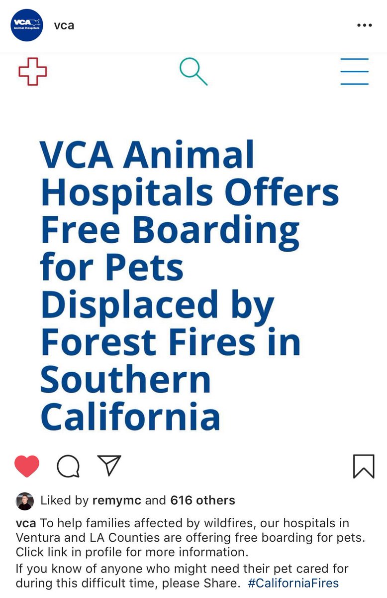 Dominique Vera tweet media