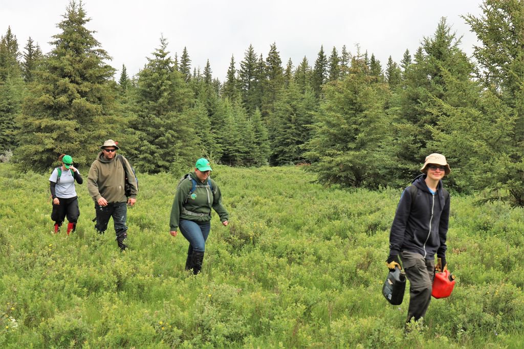 pellerman's tweet photo. Scouters behind the scenes making it happen! These Scouters do maintenance  on the trails. Other Scouters, like Scouter "Cookie" ensure that there is plenty of water along the trails and at the trail campsites. Thank-you! #WildRendezSC #ScoutsCanada #SaskScouting #ScoutsDoStuff https://t.co/8DkJBvEle2