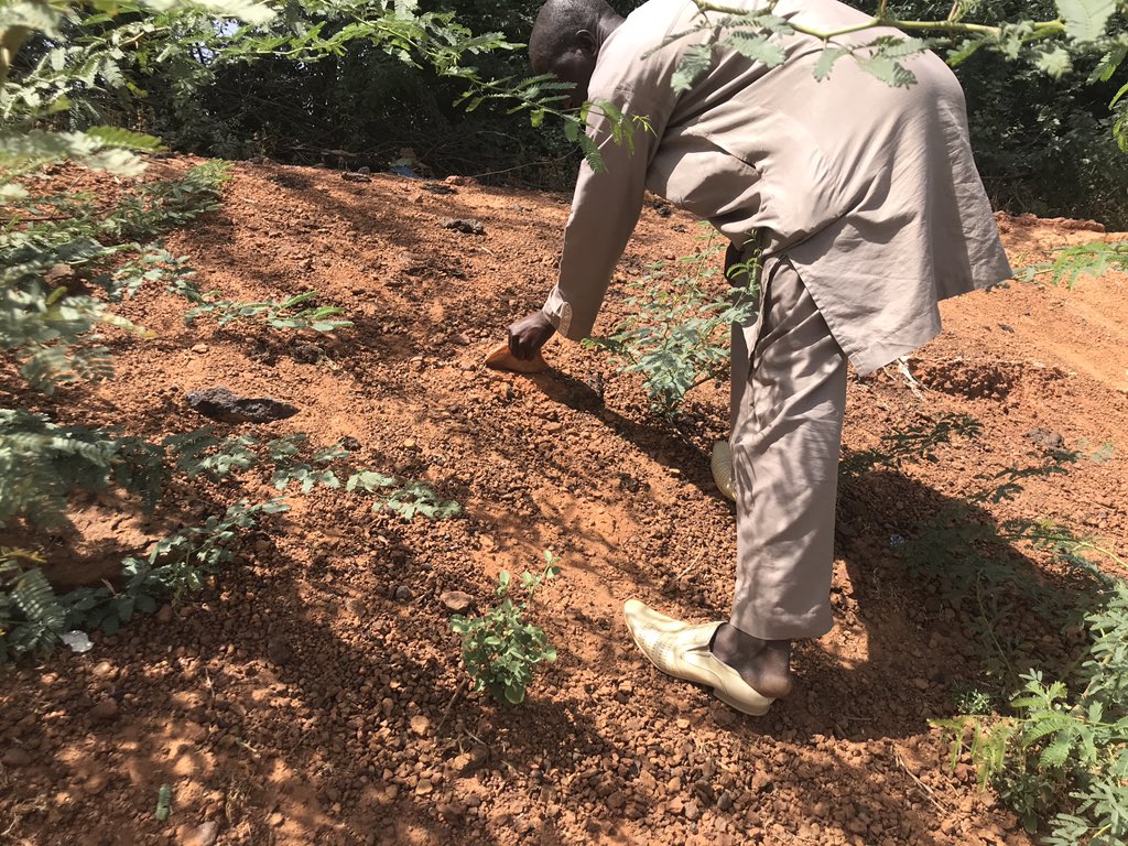 carofig's tweet photo. Le #Niger à #Say. Le niveau de l’eau va monter progressivement. Et dans trois mois les gens du village vont dormir sur la digue de protection pour la surveiller en espérant qu’elle suffira à contenir la crue et qu’ils n’auront pas besoin d’évacuer.... #nldrr-team @RVO_Int_Ond https://t.co/TXIXqGv3DV