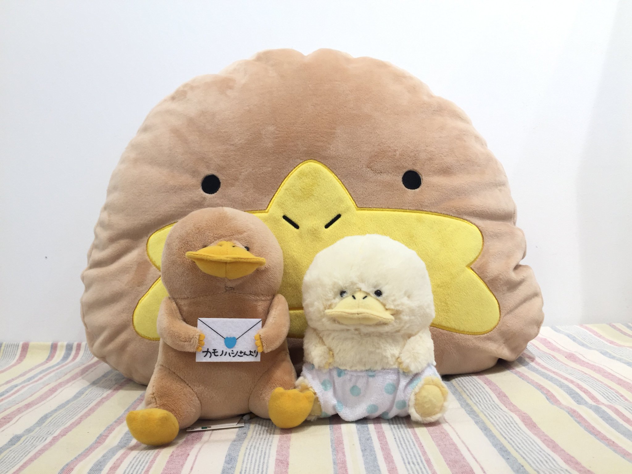 コトブキヤ立川本店 No Twitter 立川本店1f 今日は カモノハシさんのお誕生日 です おめでとうございます のんびりした カモノハシさんがだいすきなんだなぁ ぐわっ カモノハシさんのグッズはもちろん ウォンバットさんたちのグッズもたくさんございます