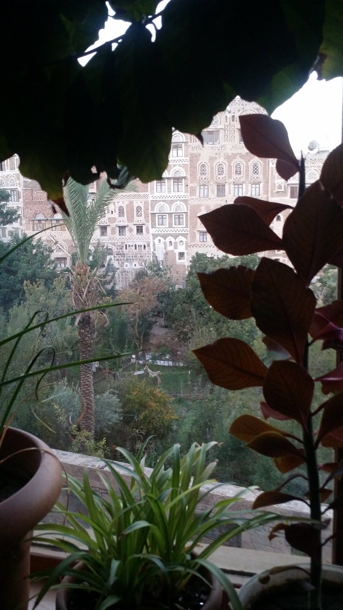 arzaqalnajjar's tweet image. Whenever I talk 2 my #google_assistant, she keeps reminding me to set the morning alarm. But we have agreed now not to remind me again about that. Whether I seelp early or late my eyes open automatically between 5 - 6 am..
Good morning from #Old_Sanaa, #yemen 🌸