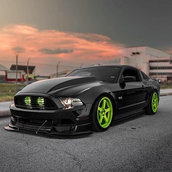 ModdedMustang's tweet photo. https://t.co/ztBH1yGufq
#mustang #mustangparts #mustangdepot #LasVegas Follow @MustangDepot
@Regran_ed from @thetexasfiveoh_
#mustangs #fordmustang #texasbackroads #fivepointoh #fivepointbye #mustangdaily #mustangdepot https://t.co/wsSfbQ2fC7