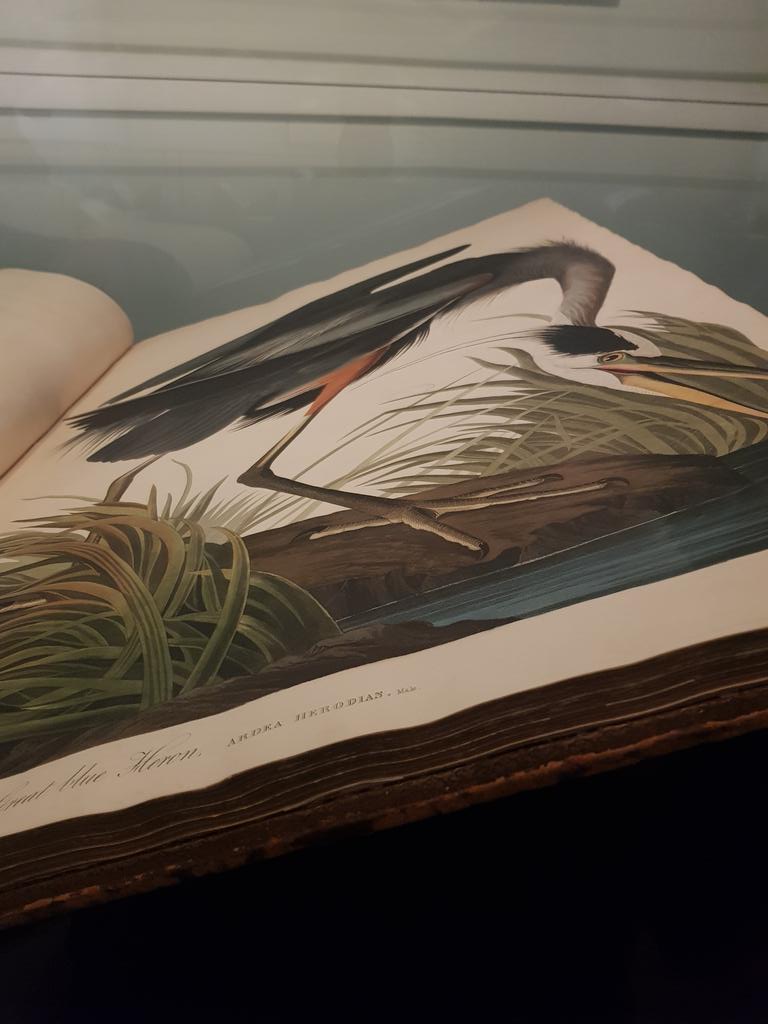 SiobhanLeachman's tweet image. In the presence of greatness. #aweinspiring #StateLibrary .@Library_Vic