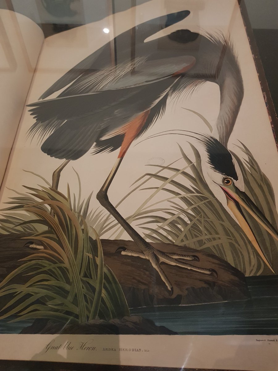 SiobhanLeachman's tweet image. In the presence of greatness. #aweinspiring #StateLibrary .@Library_Vic