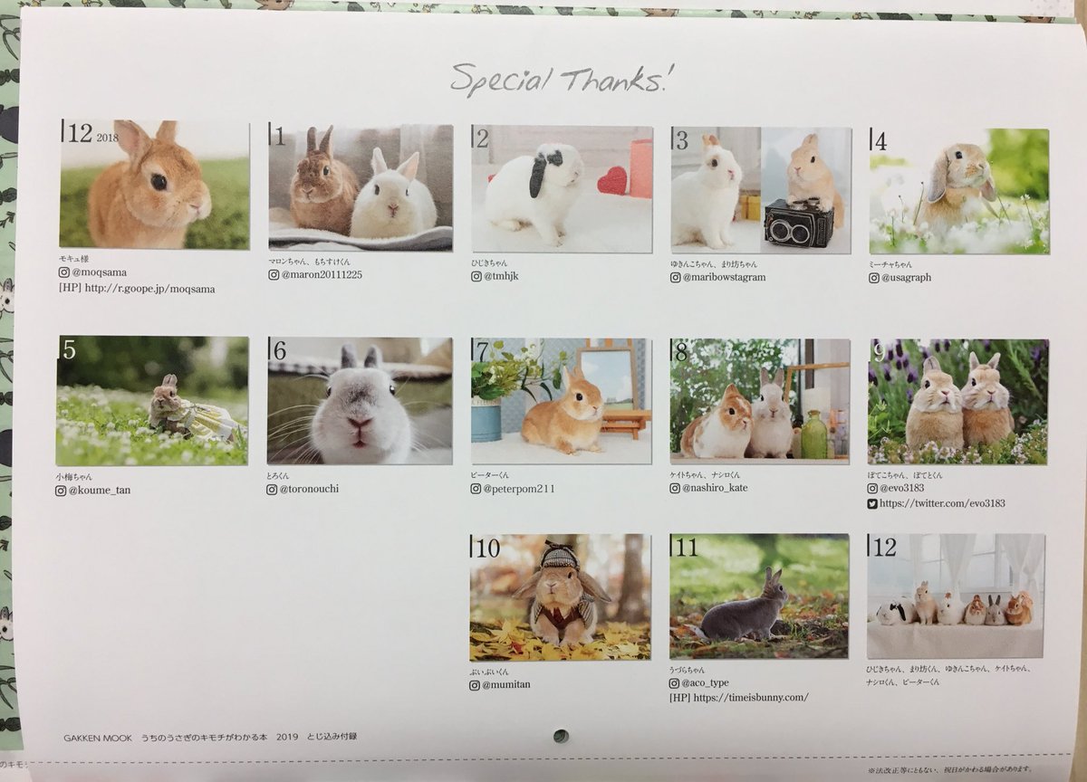 たか 発売日から日が経ってしまいましたが うちのうさぎのキモチがわかる本 19 学研プラスさんより発売中です 一部本文デザインと付録カレンダーのデザインを担当いたしました カレンダーのうさぎさんたち かわいさ極上級です