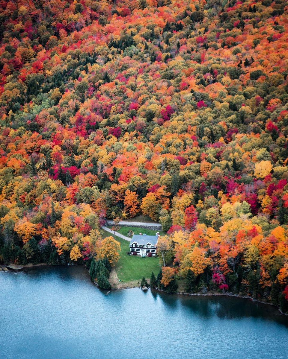 IOS14aesthetics's tweet image. A vibe