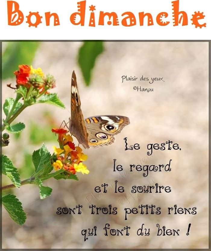 Lucy Bonjour Ma Belle J Espere Que Tu Va Bien Je Te Souhaite Un Dimanche Tendresse Amour Et Paix En Ce 11 Novembre Je T Envoie Des Bisous Tendresse Et Lucy Bonjour Ma Belle J Espere Que Tu Va Bien Je Te Souhaite Un Dimanche Tendresse Amour Et Paix En Ce 11 Novembre Je T Envoie Des Bisous Tendresse Et