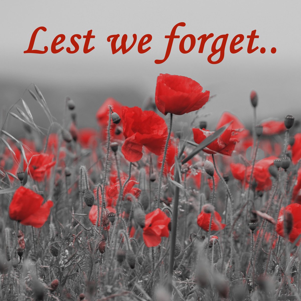 Jackie Stanley (@jackiestanleyea) on Twitter photo 