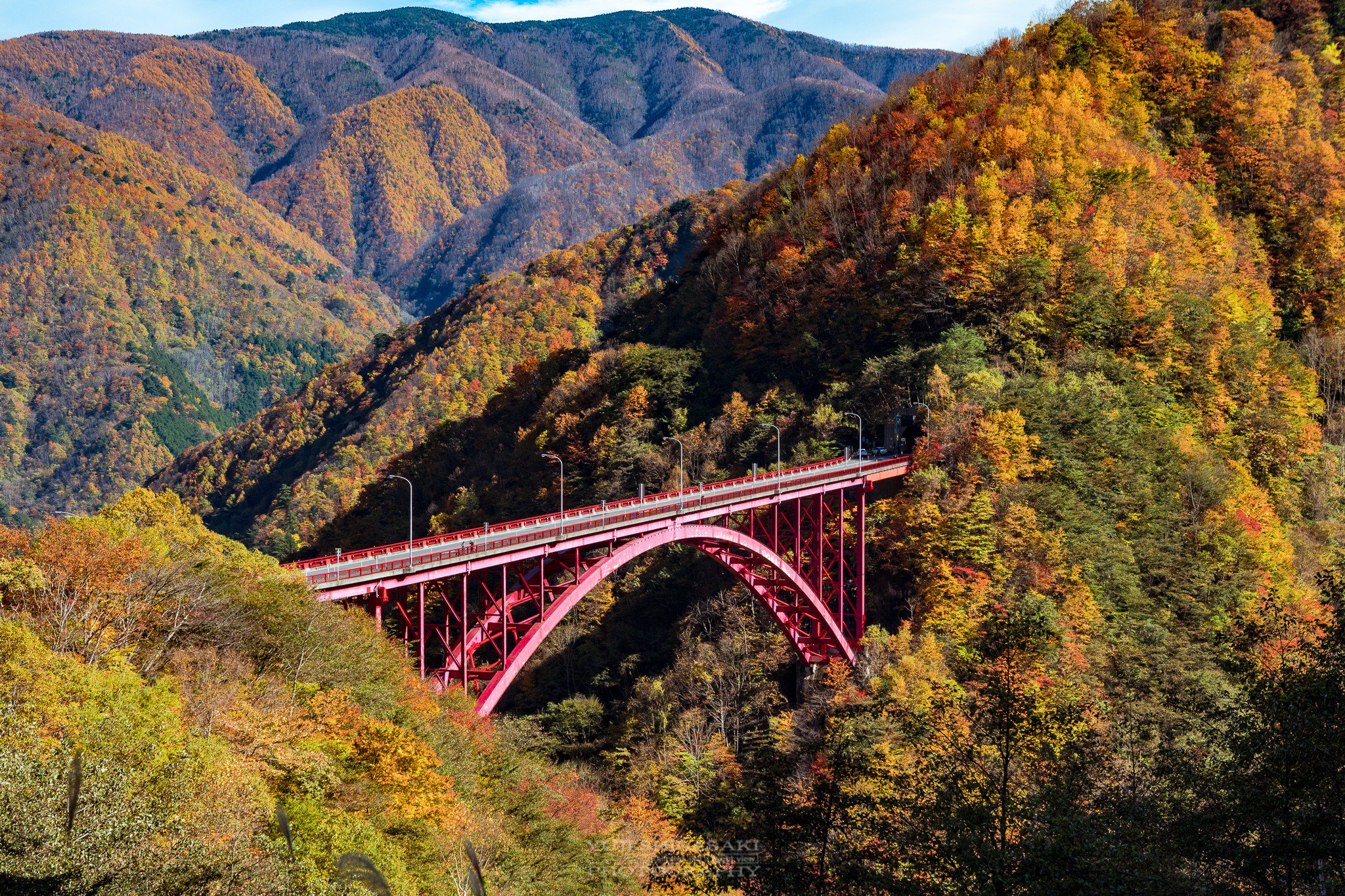 鉋 名門72ミリ 赤欅 台割れ 画像追加