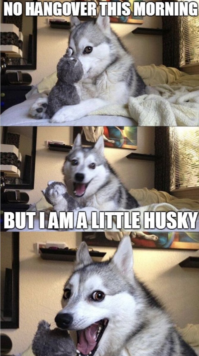 treechelt's tweet image. A little pick me up for those of you who are hungover today 😂😂

We hope you had a good night! 🤪

#TreeChelt #Hungover #SundayFeels