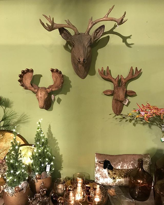 Ideen für Waidmanns Weihnachtsdekoration - gesehen im Gartenglück Joeden Viersen. Werde ich mit original Trophäen nachbauen 😀 #weihnachten #weihnachten2018 #weihnachtsdeko #waidmannsheil ift.tt/2DC0ubU