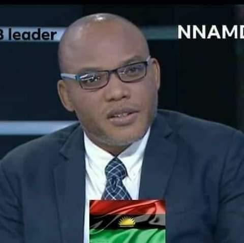 realOkorohamich's tweet photo. @realNnamdiKanu is an intellect but the Enemies being so envious and hypocritical can never admit the fact that he is #Allhailbiafra as the zoo has fallen https://t.co/Wp1XljnDJZ