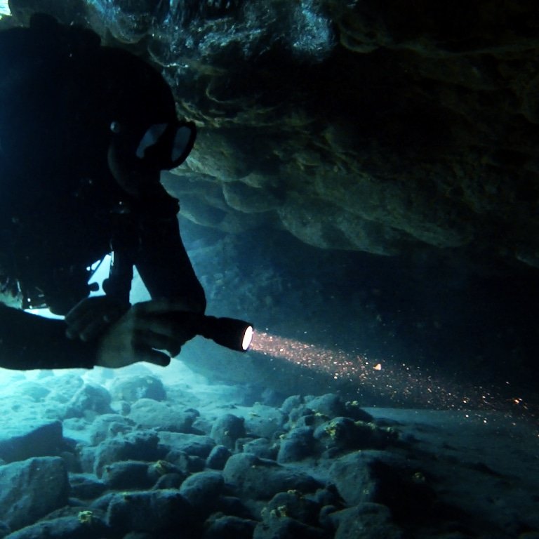ScubaLegends's tweet photo. It's weekend! It's #TimeToTec @ https://t.co/NCSloC17af 😁🤙
#teccourse #padi #underwaterlife #underwater #scubalove #scubalife #scubadiving #scuba #grancanaria #divers #diving #divetrip #techdivinggrancanaria #techdiving #paditv #tauchen #buceo #busseig #plongée #duiken https://t.co/kE8fMOYNU0